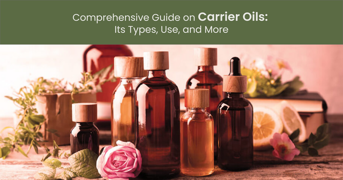 Comprehensive Guide on Carrier Oils: Its Types, Use, and More